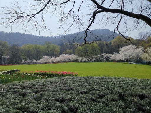 路由器 & OpenWrt 1 路由器 & OpenWrt-1