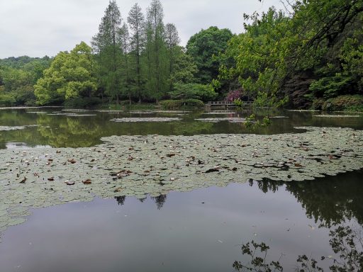 路由器 & OpenWrt 2 路由器 & OpenWrt-2